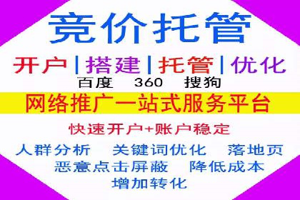 专业SEM代运营公司案例分析